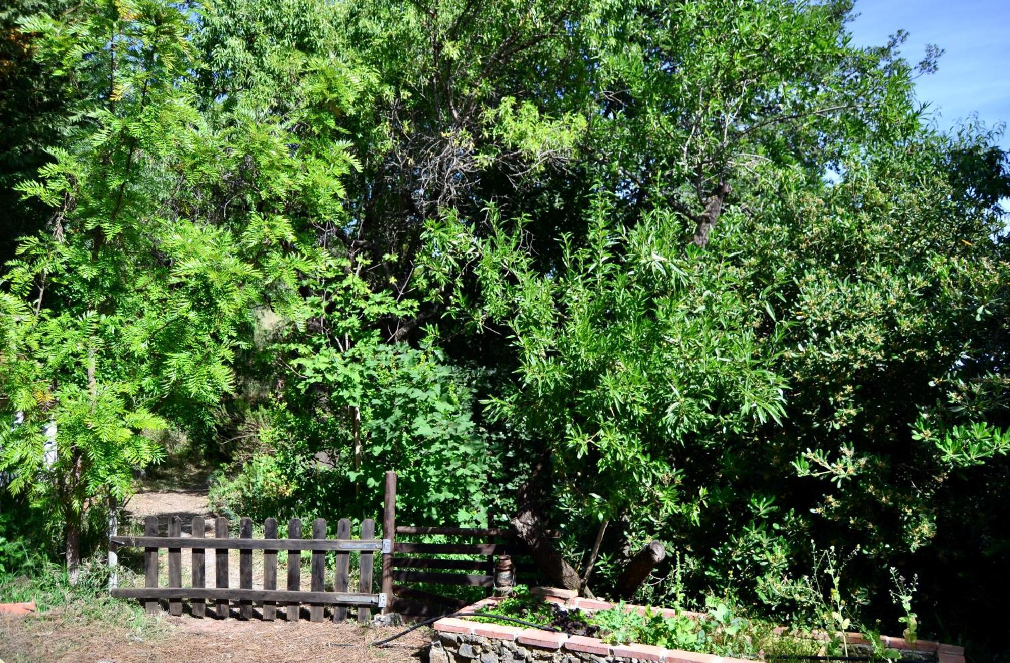 Casa Jardin Natural Sedella ภายนอก รูปภาพ