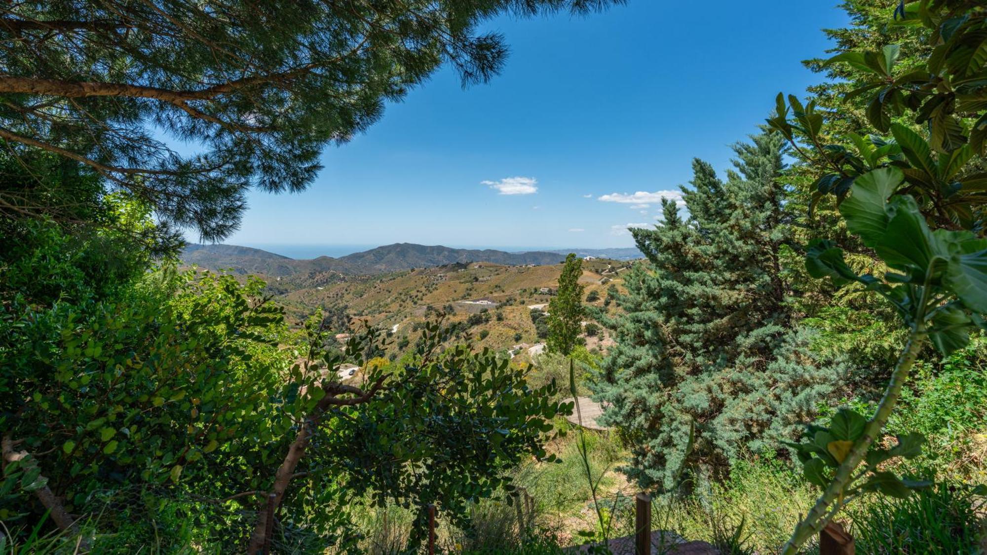 Casa Jardin Natural Sedella ภายนอก รูปภาพ